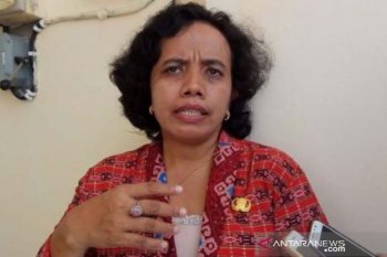 Kasus Malaria kembali ditemukan di Kota Kupang