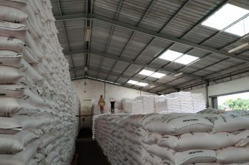 Stok pupuk subsidi di Sumsel aman jelang musim tanam