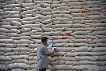 Persediaan beras di Sumsel cukup dan aman hadapi natal 2019