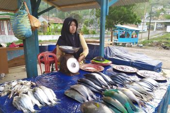 Harga ikan laut di Bandarlampung stabil meski musim berangin