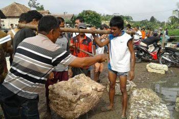 Harga getah karet di OKU Sumsel turun jadi Rp6.700 per kg