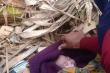 Bayi dibuang di kebun pisang, diselidiki Polres Magetan