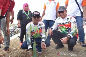 264.874 ha lahan kritis di Sulteng