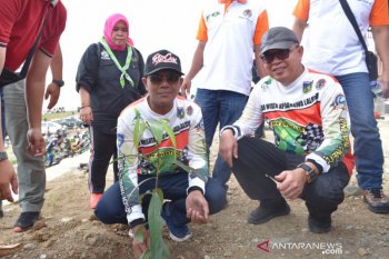 Hingga  November 2019, lahan di Sulteng 2.808 ha sudah direhabilitasi