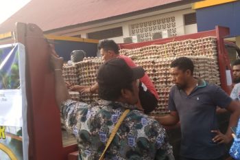 Peternak unggas Biak Numfor mampu penuhi kebutuhan warga