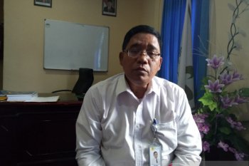 PLN Timika jamin pasokan listrik aman saat Natal dan Tahun Baru