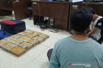 BNNP NTB menelusuri pemilik ganja 15 kilogram