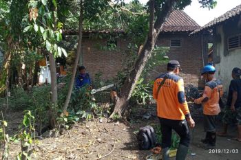 BPBD Sleman bersiap kemungkinan bencana pada saat cuaca ekstrem
