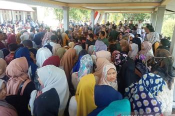Pelamar CPNS Parigi Moutong 6.124 pendaftar