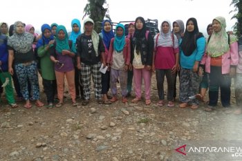 Puluhan buruh Mukomuko minta alat pelindung diri