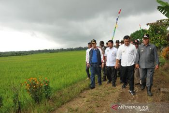 Wagub Sumbar bantu gapoktan basmi hama tikus di Dharmasraya
