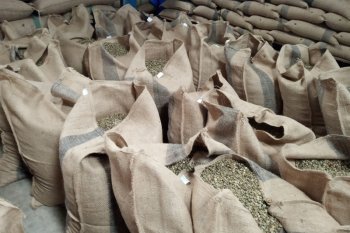 Nilai tukar petani di Lampung naik