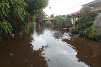 Wali Kota janji tuntaskan masalah banjir di Palangka Raya