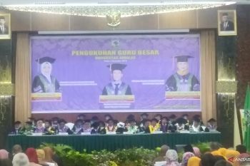Limbah nenas dapat jadi bahan pakan alternatif unggas