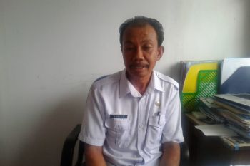 Di Baubau, 2.616 pelamar CPNS setor berkas, lima formasi tidak ada pendaftar