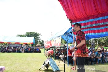 Pemkab Gowa canangkan tahun pertanian pada 2020 untuk tingkatkan produksi