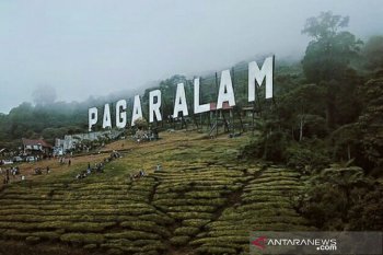Wisata ikon nama "Pagaralam" masuk wilayah jelajah harimau sumatera