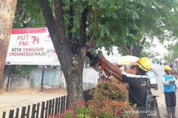 PLN pastikan keandalan  pasokan listrik saat Natal dan Tahun Baru