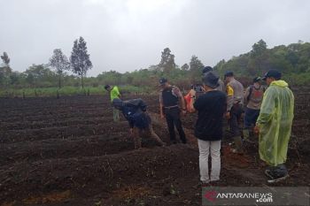 Petani Pagaralam minta dievakuasi mengira ada harimau, ternyata kerbau