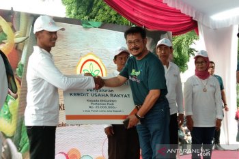 Kementan perkuat ketahanan pangan melalui Gelar Pangan Lokal Berbasis UMKM