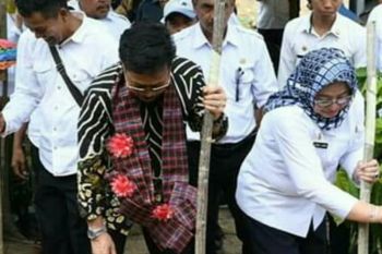 635 933 hektare lahan perkebunan di Sulbar siap dikembangkan