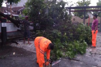 Kabupaten Magelang disapu angin kencang