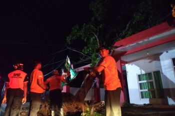 BPBD lansir Lima kecamatan di Jember diterjang angin kencang dan longsor