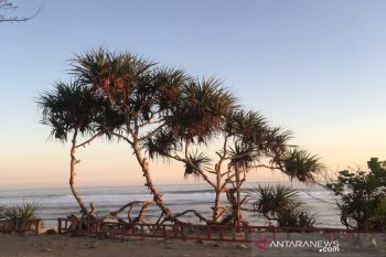 Dispar Gunung Kidul pungut retribusi wisata kawasan pesisir gandeng desa