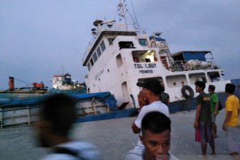 Seribuan ton semen tenggelam bersama kapal tol laut di Pelabuhan Lewoleba