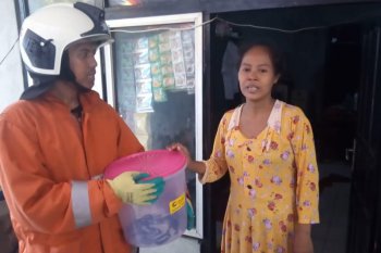 Peneliti herpetologi ungkapkan sebab kemunculan kobra di permukiman