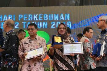 Wagub Sulbar raih penghargaan perkebunan dari Kementan