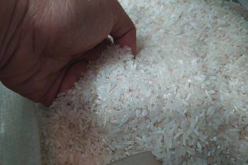 Harga beras di Bandarlampung stabil jelang akhir tahun