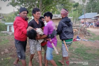 Dua warga Sumba Barat tewas tersambar petir