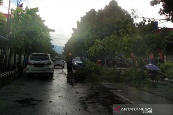 BMKG:  Puting beliung masih berpotensi di Jateng selatan