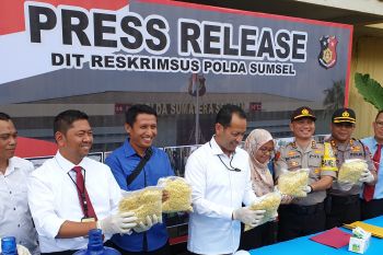 YLK Sumsel minta reskrimsus tingkatkan razia makanan  berformalin