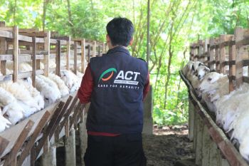 Lumbung Ternak Wakaf - ACT perkuat peran wakaf