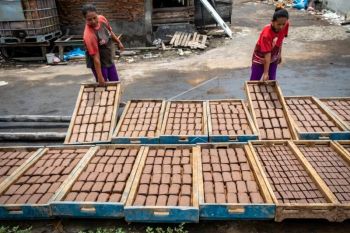 Produksi terasi