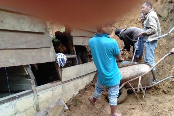 Akses Jalan Nasional Padang-Solok Selatan putus akibat  tertimbun longsor