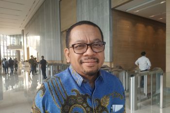 Situasi politik Indonesia 2020, Pengamat: Stabil asalkan tidak blunder