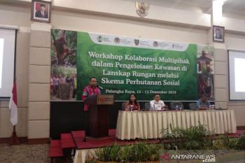 Pemprov Kalteng minta penggelolaan perhutanan sosial semakin profesional