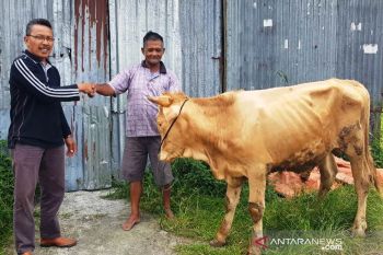 Padang Panjang beri bantuan bibit ternak pada warga agar lepas dari kemiskinan