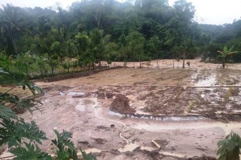 Sembilan rumah hanyut dan roboh akibat banjir yang melanda Solok Selatan