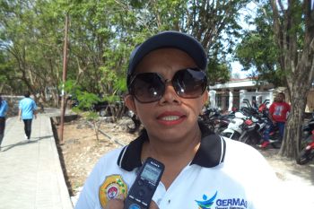 Dinas Kesehatan temukan 10 kasus DBD di Kota Kupang