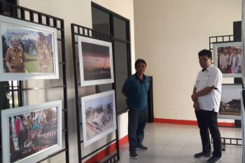 Great Giant Pineapple kunjungi pameran foto Antara