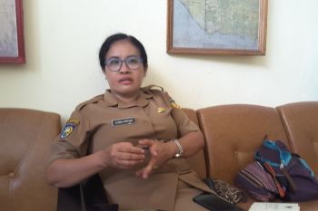 Pemerintah Papua Nugini ajukan keberatan terkait pembangunan pagar di PLBN Sota