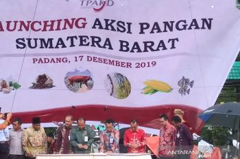 OJK dorong industri keuangan prioritaskan pembiayaan sektor pangan