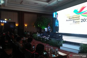 Bappenas bidik model baru percepatan pembangunan Papua