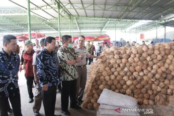 Penolakan ekspor kelapa ke Thailand tidak berpengaruh, kata BPS