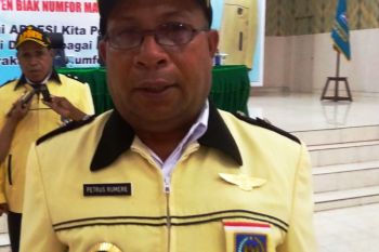 Apdesi Papua berharap gaji kepala kampung naik di 2020