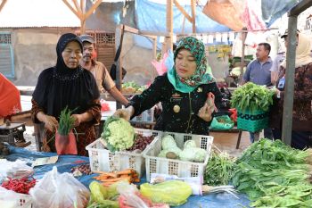 Wagub Lampung Chusnunia buka kegiatan pangan murah jelang Natal